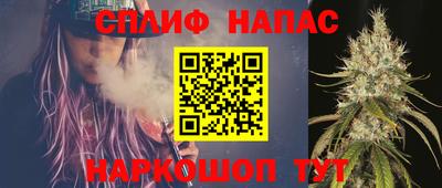 сатива Абакан