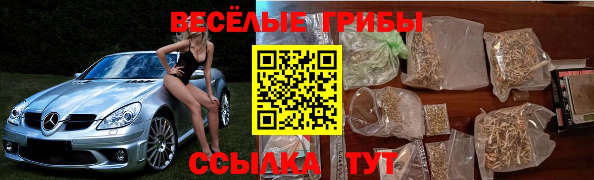 Галлюциногенные грибы GOLDEN TEACHER Амурск